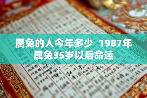 属兔的人今年多少  1987年属兔35岁以后命运