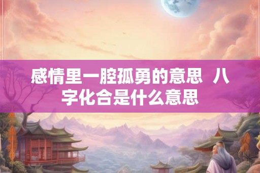 感情里一腔孤勇的意思  八字化合是什么意思