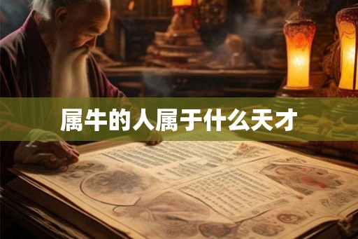 属牛的人属于什么天才