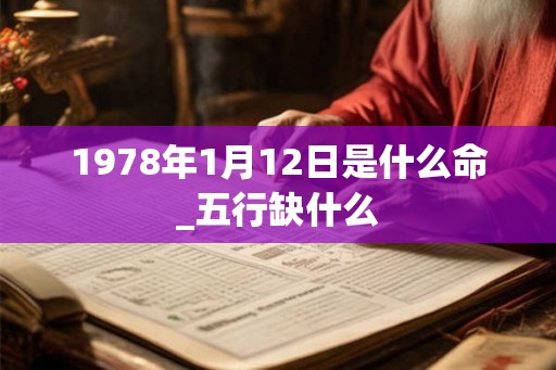 1978年1月12日是什么命_五行缺什么