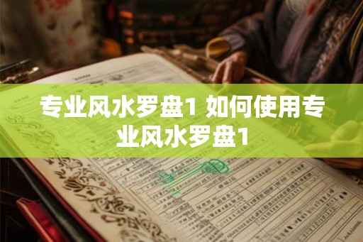 专业风水罗盘1 如何使用专业风水罗盘1