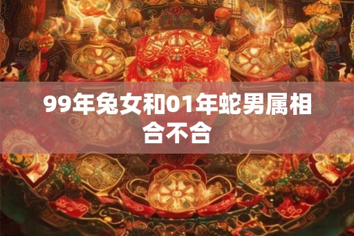 99年兔女和01年蛇男属相合不合