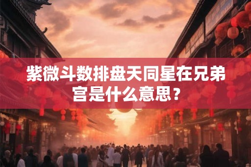 紫微斗数排盘天同星在兄弟宫是什么意思？