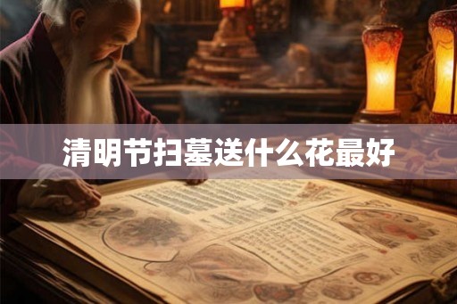 清明节扫墓送什么花最好