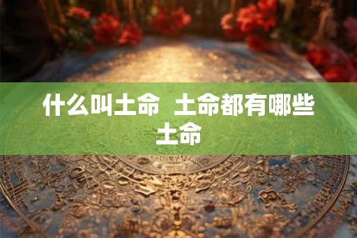 什么叫土命  土命都有哪些土命