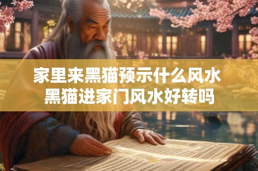 家里来黑猫预示什么风水 黑猫进家门风水好转吗