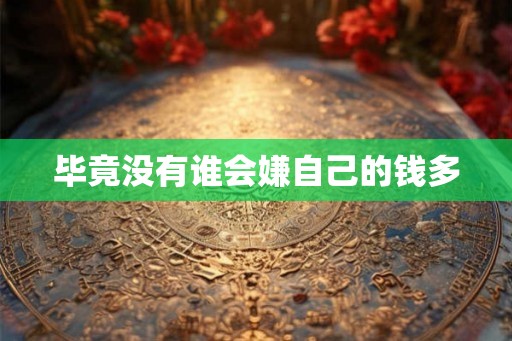 毕竟没有谁会嫌自己的钱多