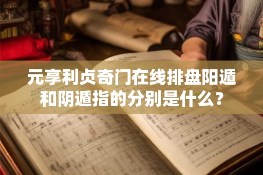 元享利贞奇门在线排盘阳遁和阴遁指的分别是什么？