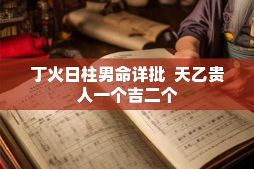 丁火日柱男命详批  天乙贵人一个吉二个
