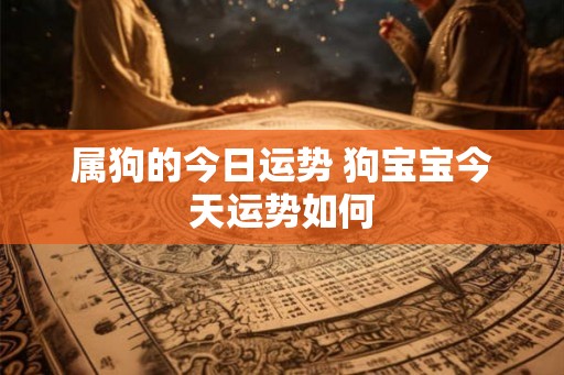 属狗的今日运势 狗宝宝今天运势如何