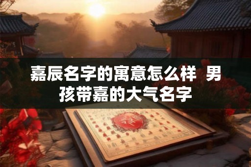 嘉辰名字的寓意怎么样  男孩带嘉的大气名字