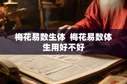 梅花易数生体  梅花易数体生用好不好