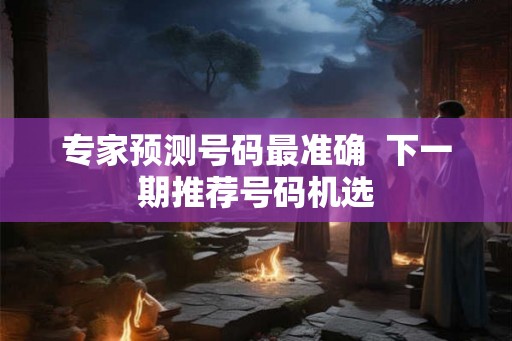 专家预测号码最准确  下一期推荐号码机选
