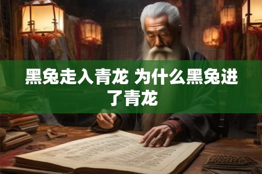 黑兔走入青龙 为什么黑兔进了青龙