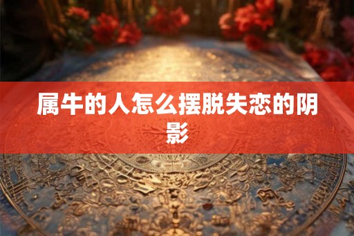 属牛的人怎么摆脱失恋的阴影