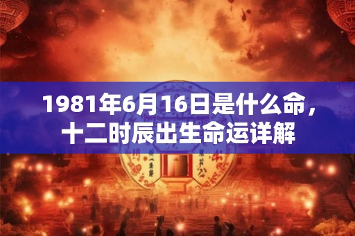 1981年6月16日是什么命，十二时辰出生命运详解