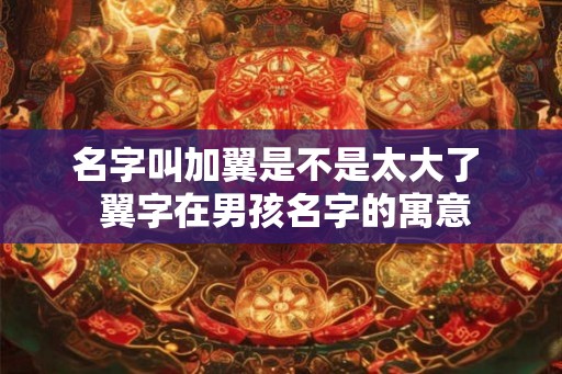 名字叫加翼是不是太大了 翼字在男孩名字的寓意 名字叫加翼是不是太大了 翼字在男孩名字的寓意