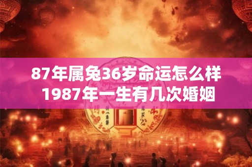 87年属兔36岁命运怎么样 1987年一生有几次婚姻 87年属兔36岁命运怎么样 1987年一生有几次婚姻