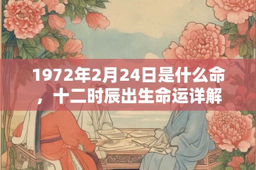 1972年2月24日是什么命，十二时辰出生命运详解