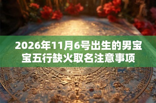 2026年11月6号出生的男宝宝五行缺火取名注意事项