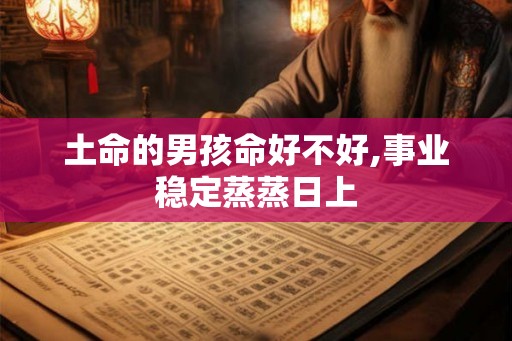 土命的男孩命好不好,事业稳定蒸蒸日上