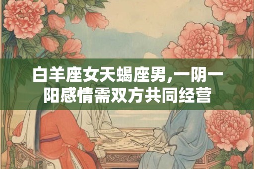白羊座女天蝎座男,一阴一阳感情需双方共同经营