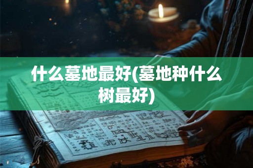 什么墓地最好(墓地种什么树最好)