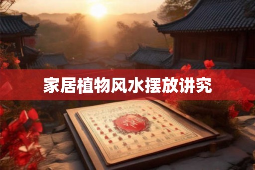 家居植物风水摆放讲究
