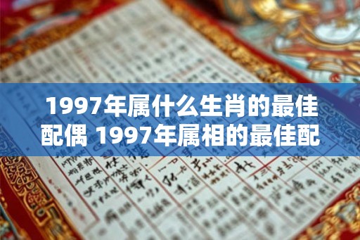 1997年属什么生肖的最佳配偶 1997年属相的最佳配偶是什么 1997年属什么生肖的最佳配偶 1997年属相的最佳配偶是什么