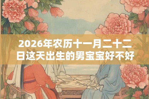 2026年农历十一月二十二日这天出生的男宝宝好不好？