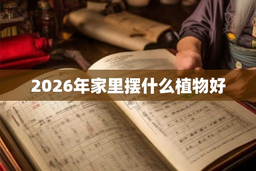 2026年家里摆什么植物好
