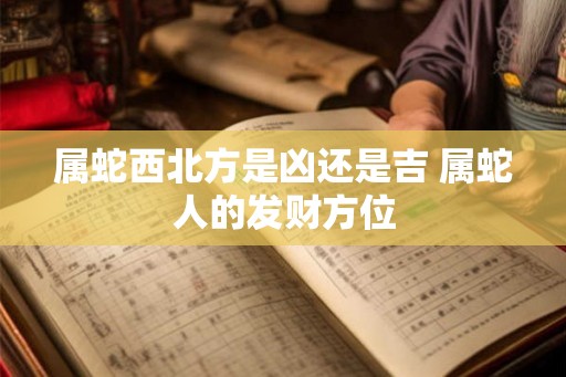 属蛇西北方是凶还是吉 属蛇人的发财方位