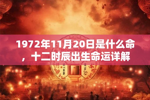 1972年11月20日是什么命，十二时辰出生命运详解