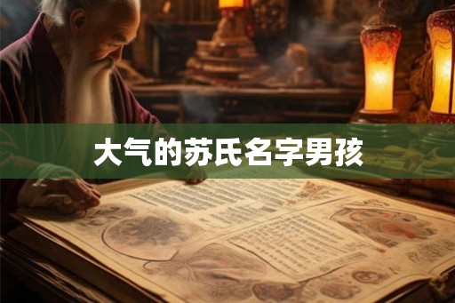 大气的苏氏名字男孩