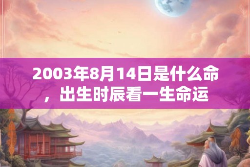 2003年8月14日是什么命，出生时辰看一生命运