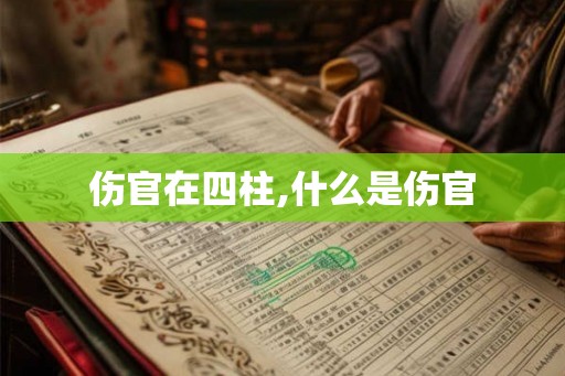伤官在四柱,什么是伤官