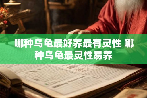 哪种乌龟最好养最有灵性 哪种乌龟最灵性易养 哪种乌龟最好养最有灵性 哪种乌龟最灵性易养