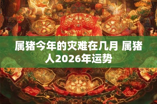 属猪今年的灾难在几月 属猪人2026年运势