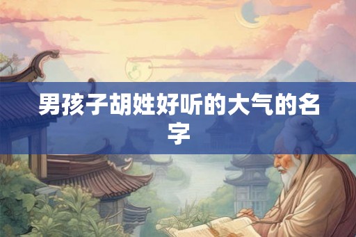 男孩子胡姓好听的大气的名字