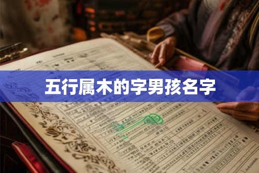 五行属木的字男孩名字