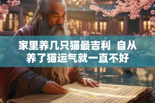 家里养几只猫最吉利  自从养了猫运气就一直不好