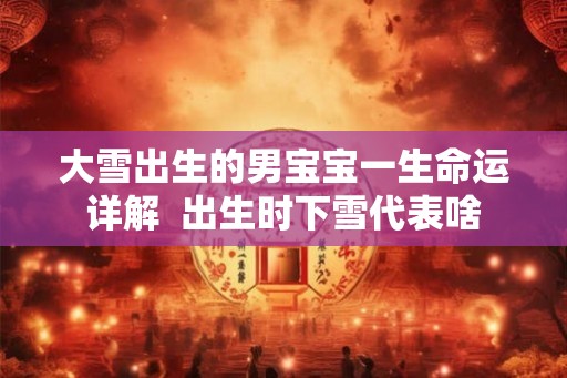 大雪出生的男宝宝一生命运详解  出生时下雪代表啥