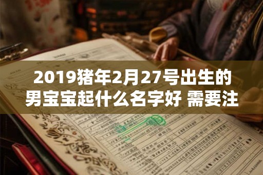 2019猪年2月27号出生的男宝宝起什么名字好 需要注意什么