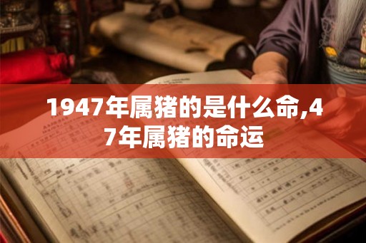 1947年属猪的是什么命,47年属猪的命运 1947年属猪的是什么命,47年属猪的命运