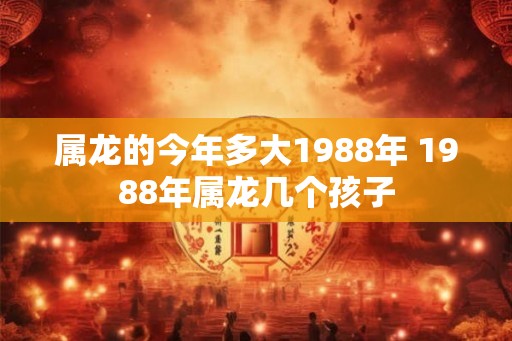 属龙的今年多大1988年 1988年属龙几个孩子