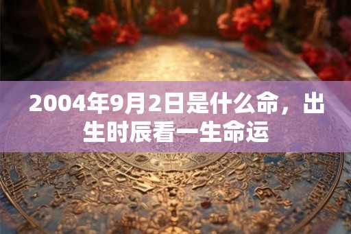 2004年9月2日是什么命，出生时辰看一生命运