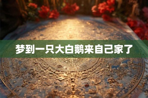 梦到一只大白鹅来自己家了