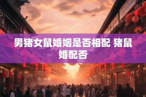 男猪女鼠婚姻是否相配 猪鼠婚配否