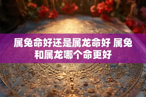 属兔命好还是属龙命好 属兔和属龙哪个命更好