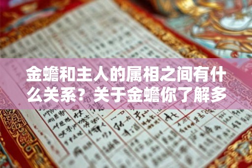 金蟾和主人的属相之间有什么关系？关于金蟾你了解多少？
